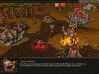 Cкриншот Warcraft 3: Reign of Chaos, изображение № 303427 - RAWG