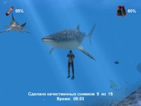 Cкриншот Дайвер. Тайны подводного мира, изображение № 482111 - RAWG
