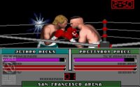 Cкриншот TV Sports: Boxing, изображение № 336445 - RAWG