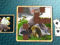 Cкриншот Jigsaw Solitaire Baby Animals, изображение № 1330762 - RAWG