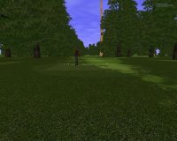 Cкриншот Customplay Golf, изображение № 417885 - RAWG