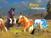 Cкриншот Pony Multiplayer, изображение № 2473134 - RAWG