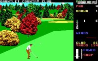 Cкриншот World Class Leader Board Golf, изображение № 337944 - RAWG