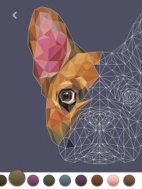 Cкриншот PolyGO - LowPoly Coloring Book, изображение № 1881599 - RAWG