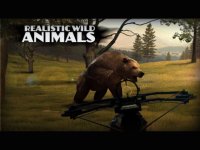 Cкриншот Crossbow Hunting: Wild Animals & Real Deer Hunt, изображение № 981338 - RAWG