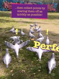 Cкриншот Pigeon Panic! AR, изображение № 2064147 - RAWG