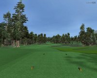 Cкриншот Customplay Golf, изображение № 417877 - RAWG