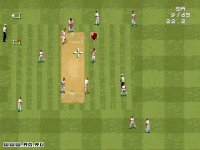 Cкриншот Cricket '96, изображение № 304652 - RAWG