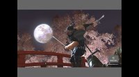 Cкриншот Ninja Gaiden II, изображение № 275132 - RAWG