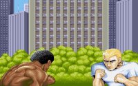 Cкриншот Street Fighter II: The World Warrior (1991), изображение № 745516 - RAWG