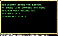Cкриншот Neverwinter Nights (1991), изображение № 468734 - RAWG
