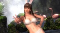 Cкриншот Dead or Alive 5, изображение № 584938 - RAWG