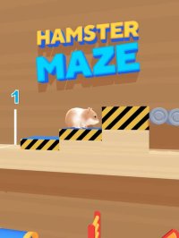 Cкриншот Hamster Maze, изображение № 2714749 - RAWG