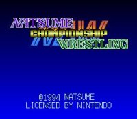 Cкриншот Natsume Championship Wrestling, изображение № 762247 - RAWG