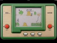 Cкриншот Safari LCD, изображение № 1739292 - RAWG