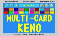 Cкриншот Multi Card Keno, изображение № 1602959 - RAWG