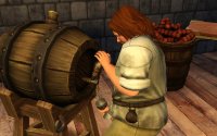 Cкриншот The Sims Medieval, изображение № 560650 - RAWG