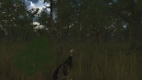 Cкриншот Wild Turkey Hunter VR, изображение № 809258 - RAWG