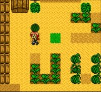 Cкриншот Harvest Moon 2 GBC (1999), изображение № 806573 - RAWG