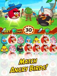 Cкриншот Angry Birds Fight! RPG Puzzle, изображение № 55009 - RAWG