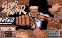 Cкриншот Street Fighter (1987), изображение № 745492 - RAWG