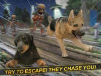 Cкриншот Hero Patrol: Puppy Farm, изображение № 1854487 - RAWG