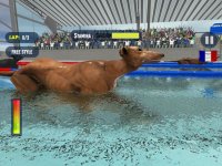 Cкриншот Dog Swimming Race, изображение № 1780104 - RAWG