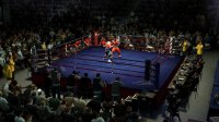 Cкриншот Fight Night Round 4, изображение № 512844 - RAWG