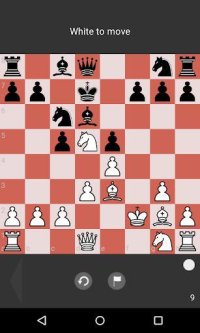 Cкриншот Chess Tactic Puzzles, изображение № 1343122 - RAWG
