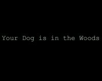 Cкриншот Your Dog is in the Woods (Demo !), изображение № 2021132 - RAWG