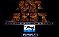 Cкриншот Best of the Best: Championship Karate, изображение № 734780 - RAWG
