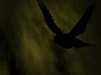 Cкриншот The Crow: City of Angels, изображение № 729016 - RAWG