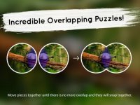 Cкриншот Venn Turtles: Overlapping Jigsaw Puzzles, изображение № 1788605 - RAWG