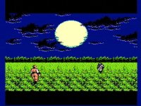 Cкриншот Ninja Gaiden (1988), изображение № 737114 - RAWG