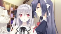 Cкриншот Tsuki ni Yorisou Otome no Sahou, изображение № 3428928 - RAWG