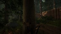 Cкриншот The Forest, изображение № 70540 - RAWG