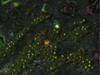 Cкриншот StarCraft II: Heart of the Swarm, изображение № 505684 - RAWG