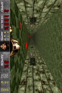 Cкриншот Doomsday: Hellraiser (3D FPS), изображение № 57804 - RAWG