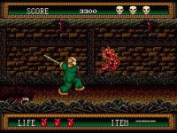 Cкриншот Splatterhouse 2 (1992), изображение № 760378 - RAWG