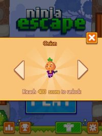 Cкриншот Ninja Escape, изображение № 2121410 - RAWG
