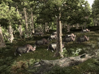 Готика 3 вся информация об игре, читы, дата выхода, системные ...