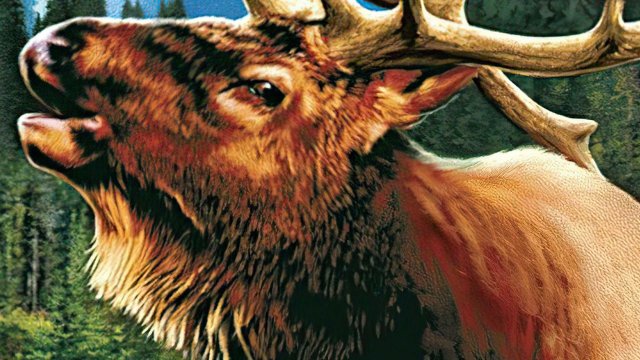 Cabela's GrandSlam Hunting: 2004 Trophies screenshot