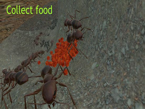 Ant Simulation 3D screenshot