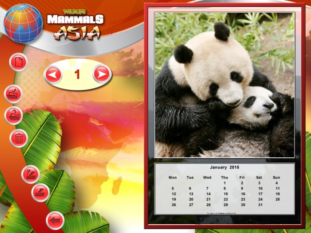Wildlife Creative Studio screenshot