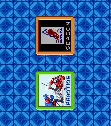 Pro Sport Hockey screenshot