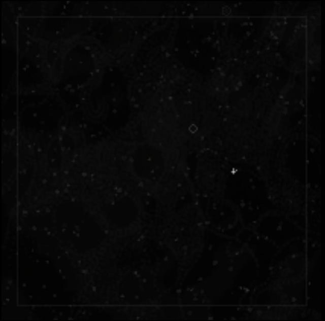 Now I am a flower screenshot