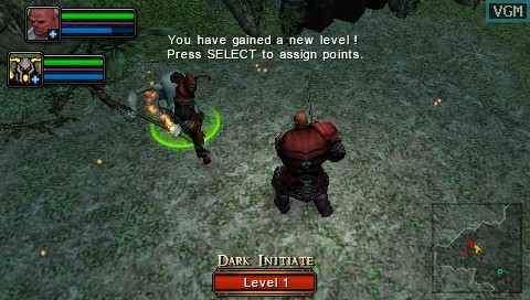 Dungeon Siege: Throne of Agony screenshot