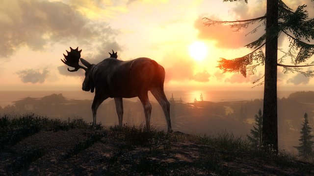 Hunter: Охотник - По следу хищника, The screenshot