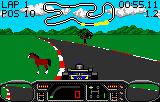 Checkered Flag screenshot