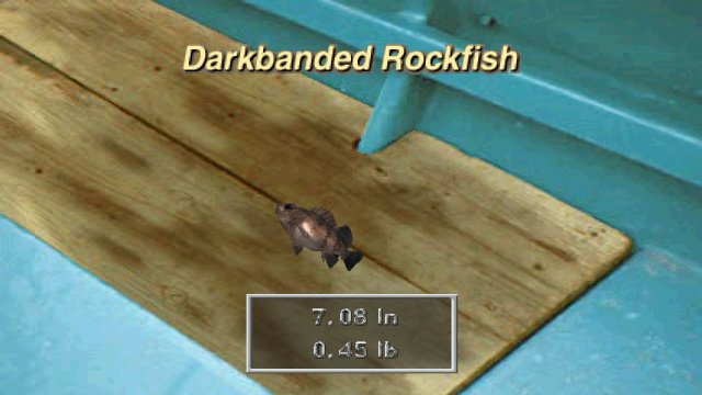 Reel Fishing II screenshot